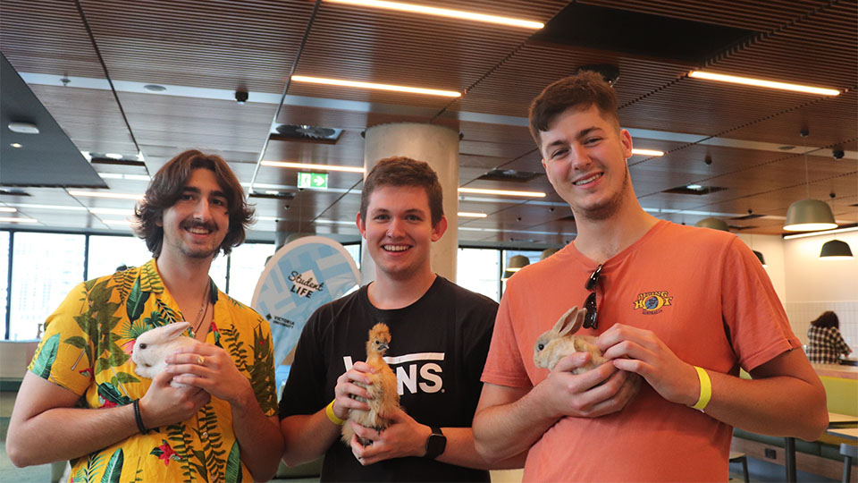 Students at VU's Footscray Nicholson campus with animals from the petting zoo.