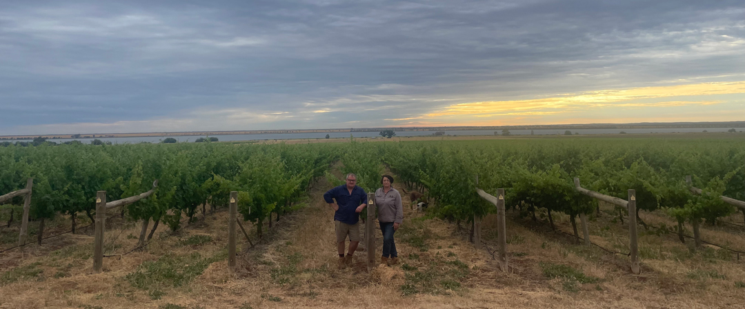 A man and woman pose on a vineyard with a dramatic evening sky