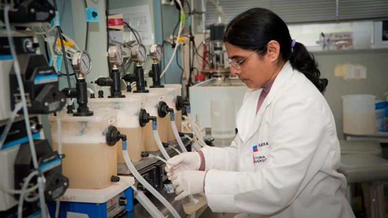 A woman adjusts the outflow of plastic containers in a complicated lab set up