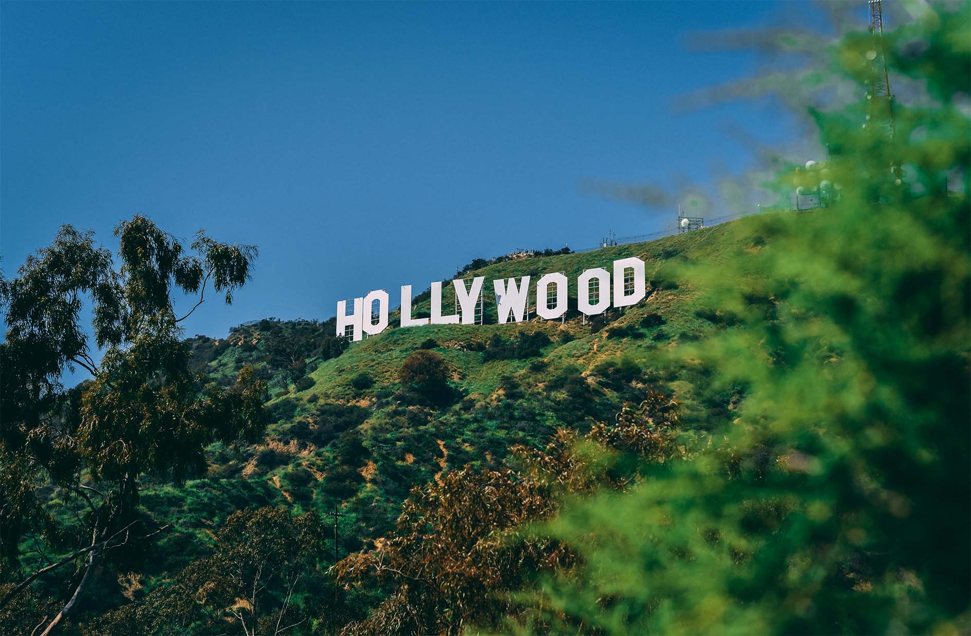 The Hollywood sign