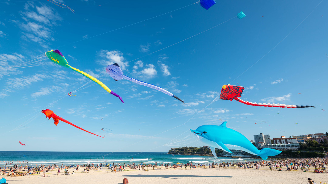 Bright kites against a blue sky against a golden sand beach