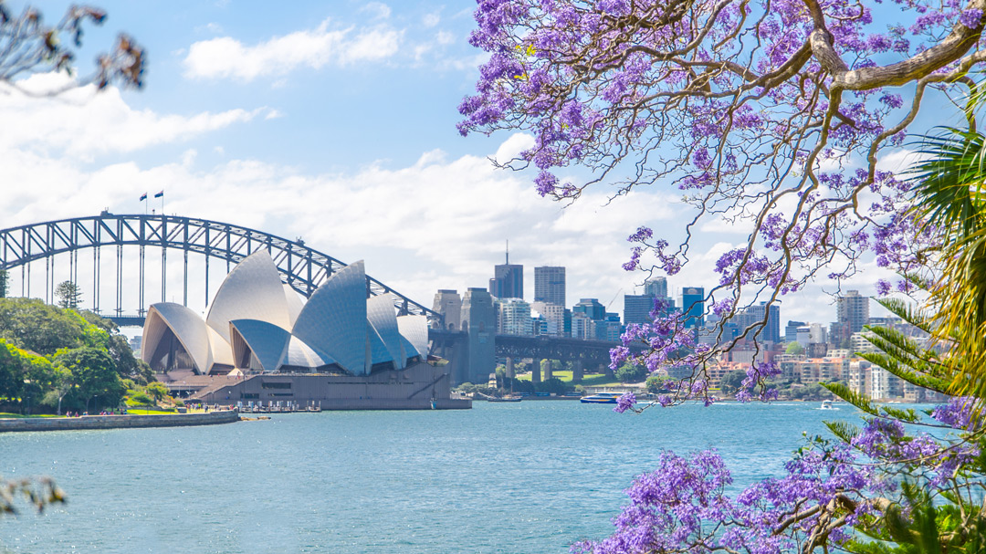 A beautiful harbour with a sail-shaped building an large bridge