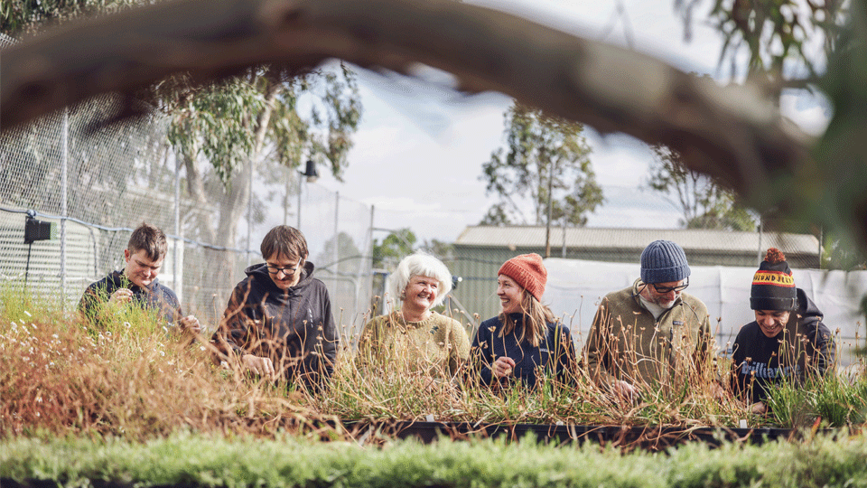 A group of volunteers working together potting seedlings at Iramoo Nursery, alongside Megan O'Shea (centre) 