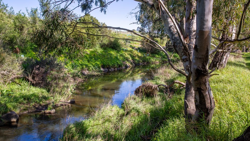 Sunshine creek 