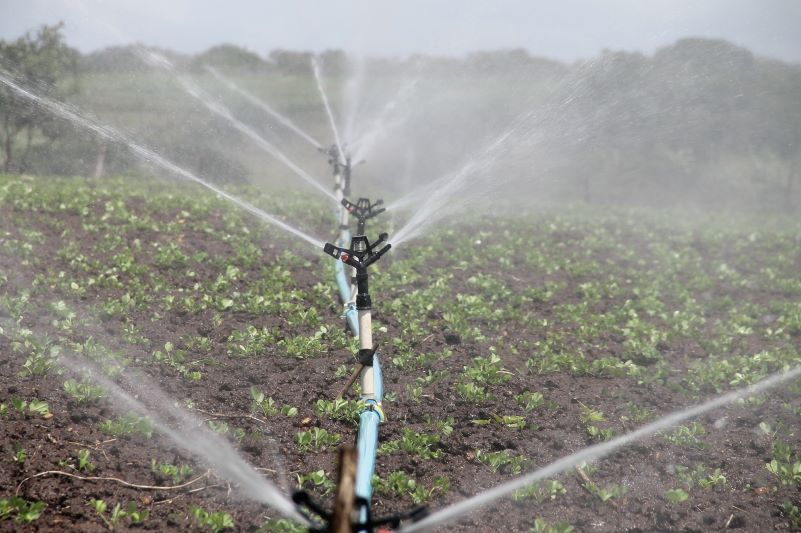 agricultural irrigation