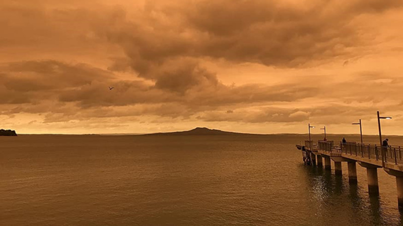 Sepia ocean