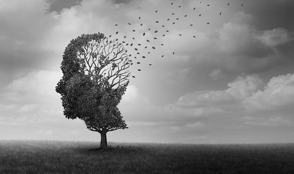 New study on exercise & brain health