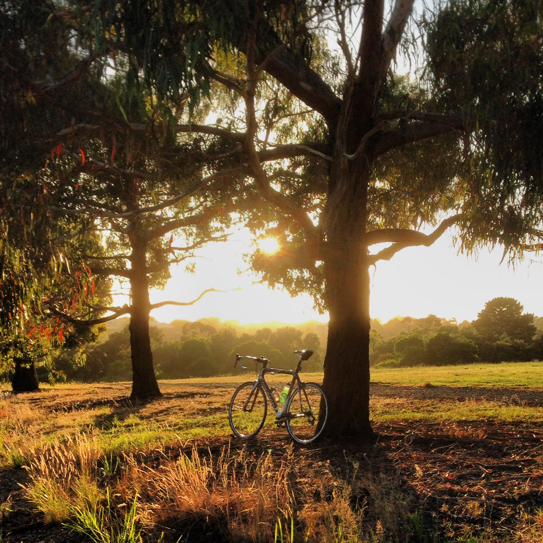 Uplifting memoir on cycling helps with grief