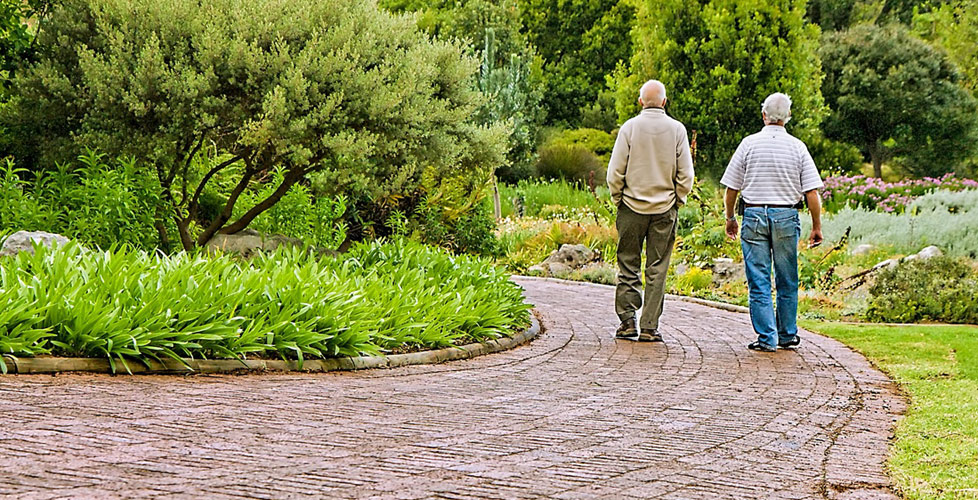 Global experts at conference on active ageing