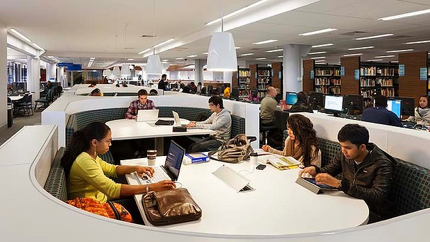 phd in library and information science in australia