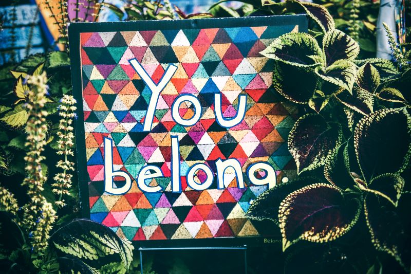 Victoria University anti-racism pilot project now offered to local councils Australia-wide