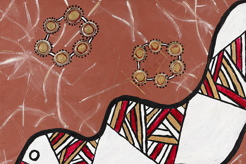  Artwork by Paola Balla for Moondani Balluk