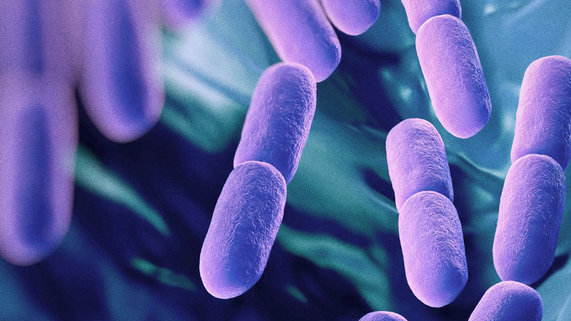 Probiotics can help with auto-immune conditions