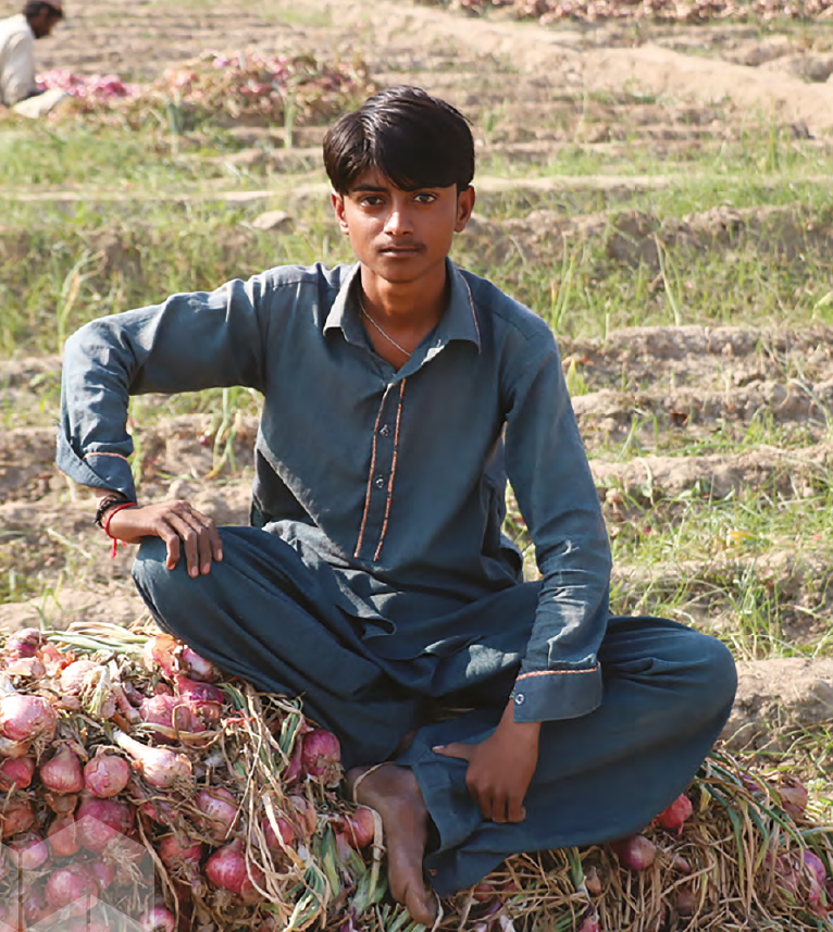 Future of farming in Pakistan