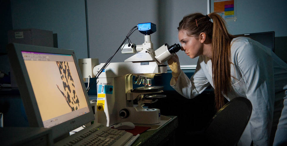 Research Repository opens VU research to the world