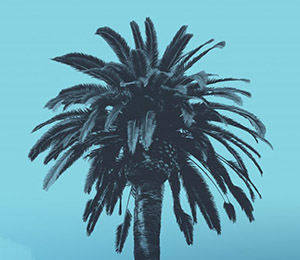 Setting Sun Short Film Festival – last call for submissions