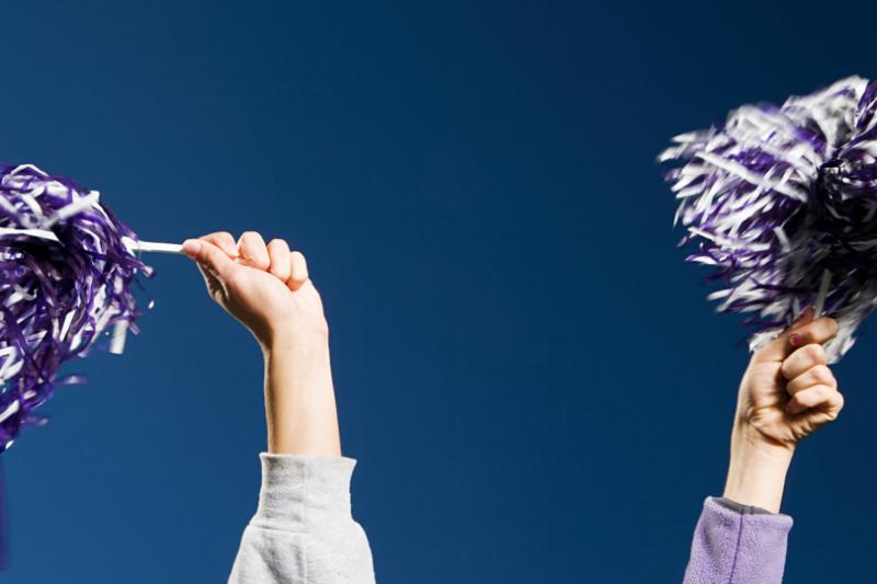 Two hands holding pom poms.