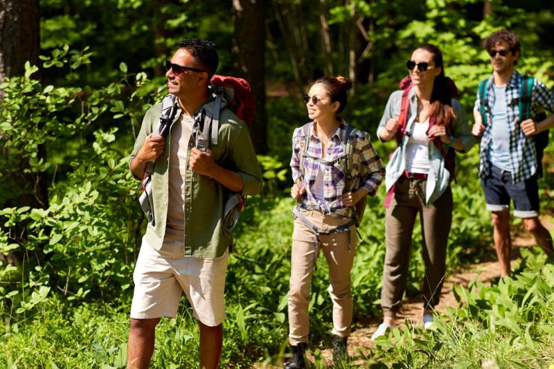 Four students on a nature walk, wearing sunglasses. They all look towards the same area.