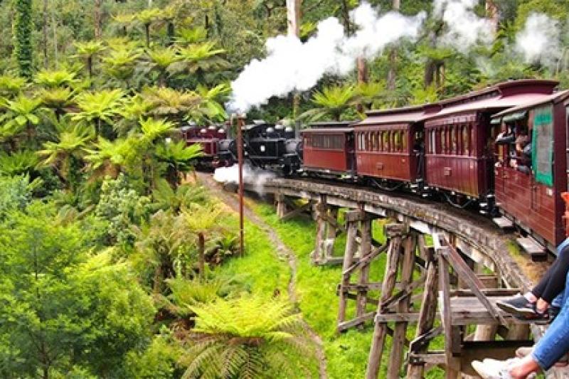 An old-fashioned steam train puffs through a bright, green forest, while passengers take photos out of the window