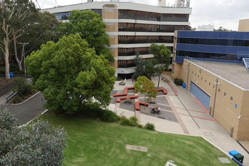 Campus with green lawns, seating, trees, brick buildings