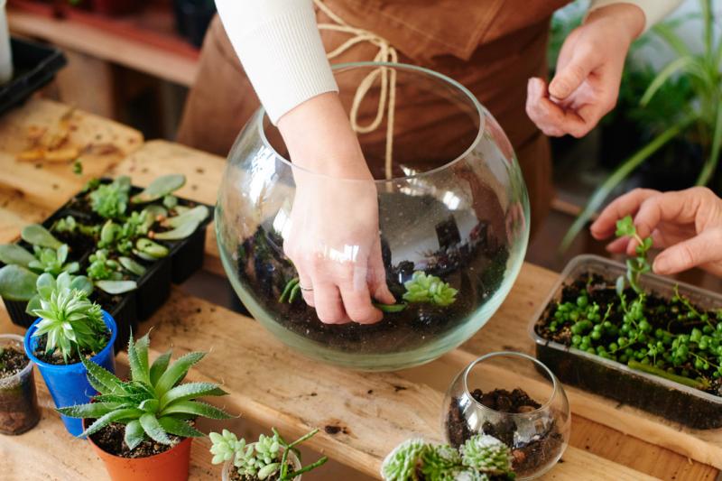 A collection of succulents on a wooden table. A person's hand is inside the glass bowl assembling the terrarium.