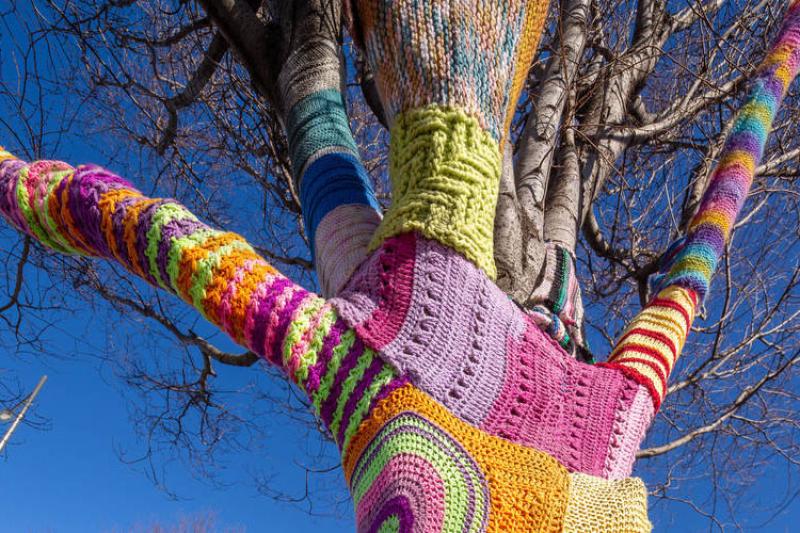 Yarn on a tree at VU's Sunshine campus.