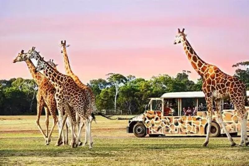Werribee zoo