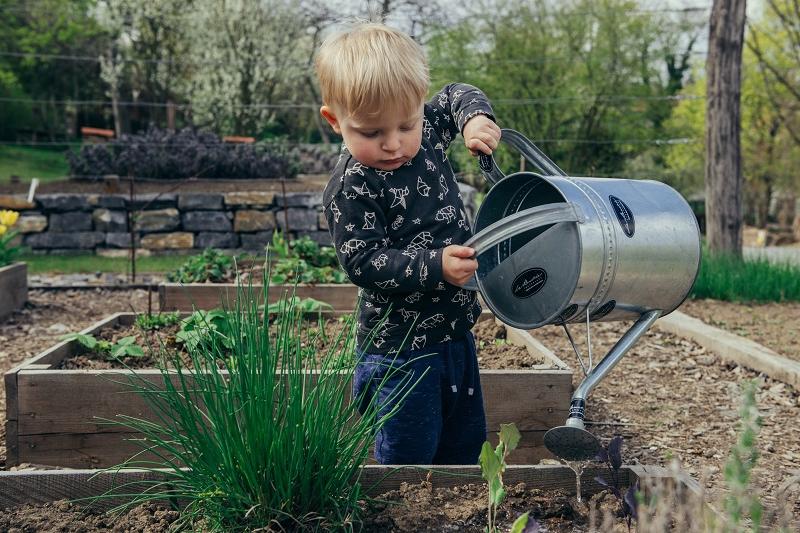  Child waters plats in a garden