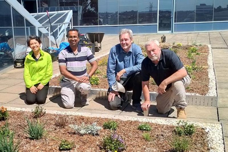  Green roof designers in the new garden