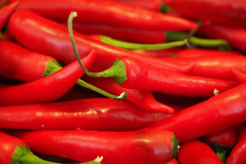  Group of red chilli peppers