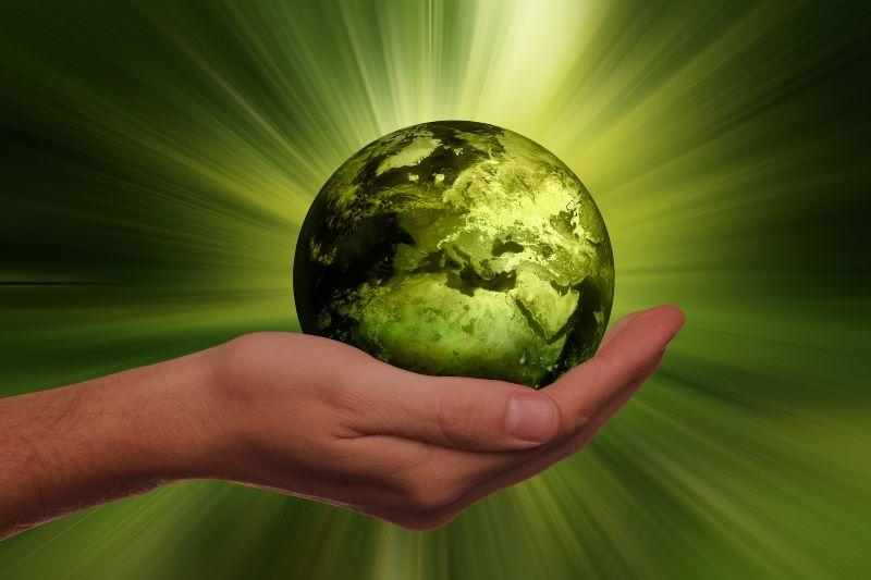  Hand holding green world