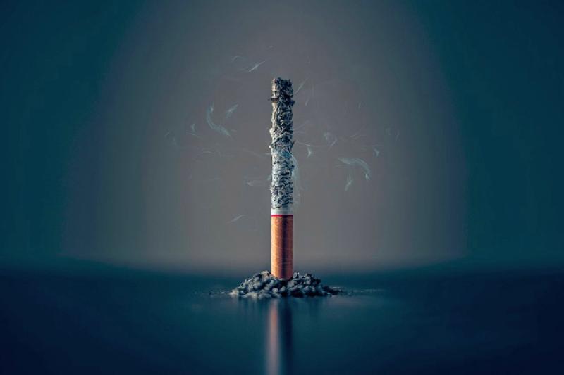 A single cigarette standing up, smoked almost to the end.