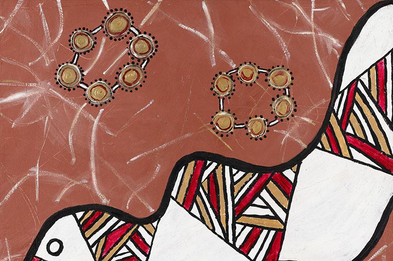  Artwork by Paola Balla for Moondani Balluk