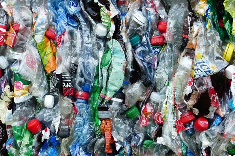 plastic bottles