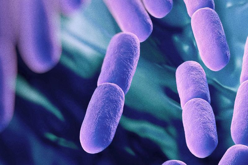  Probiotics can help with auto-immune conditions