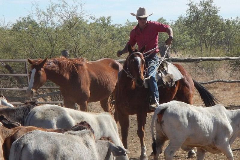  Rural and remote Australians missing out on the Medicare dollar