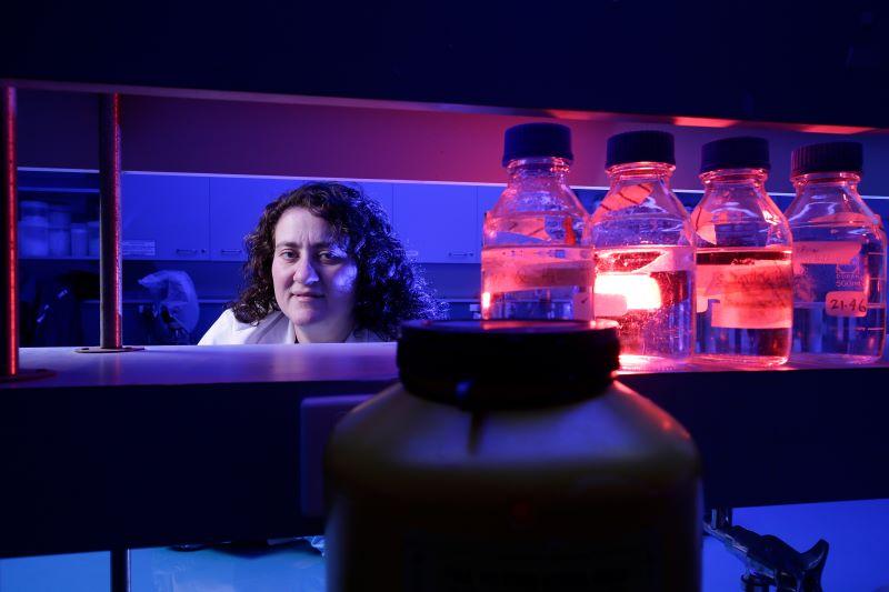 Vasso Apostolopoulos in LA