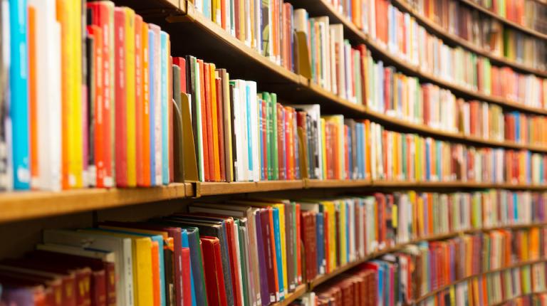 Mem Fox’s book banned in Florida as ‘pornography’ – but bathing is not a sexual act