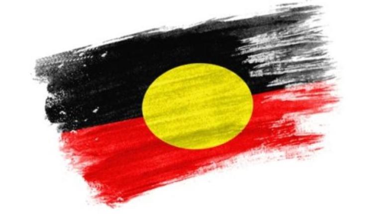  NSW Aboriginal Community Controlled Health Tracker