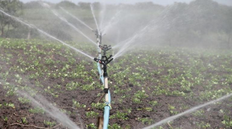 Australia’s water footprint study shows agricultural exports cost more than they’re worth
