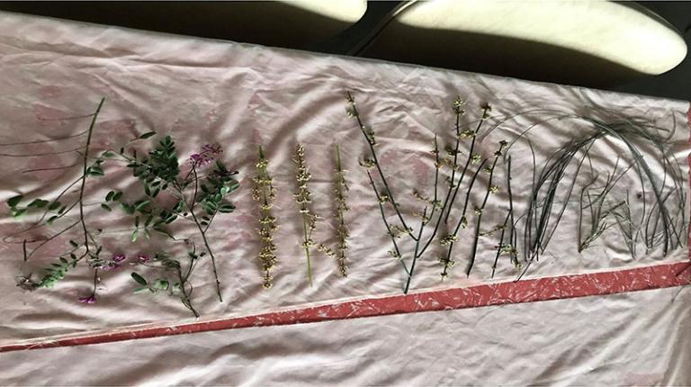 Creating spaces for Blak women’s healing