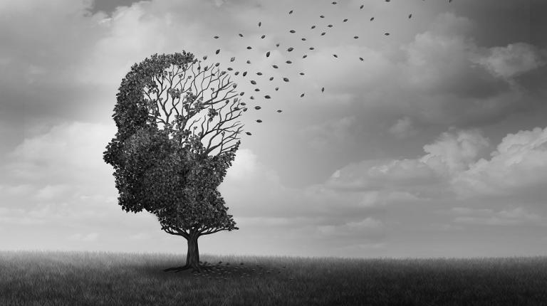 New study on exercise & brain health  