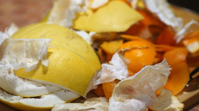 Household production of energy from food waste