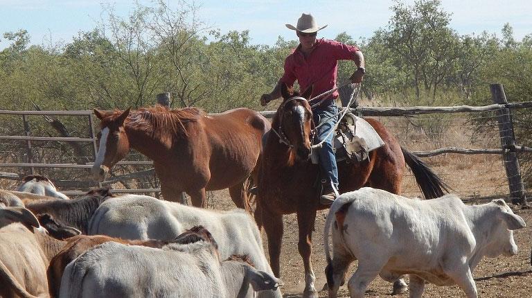 Rural & remote Australians missing out on the Medicare dollar