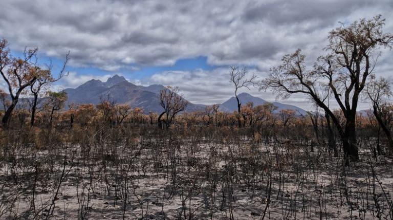 Why local knowledge is key to disaster recovery in Gippsland