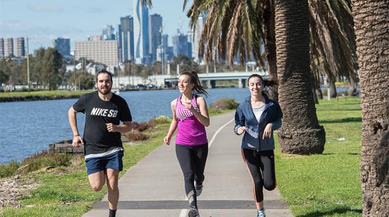 Supporting physical activity promotion in primary health care