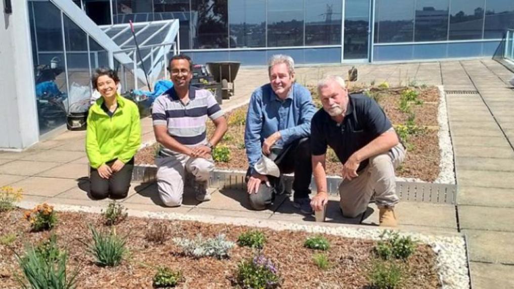 Green roof designers in the new garden