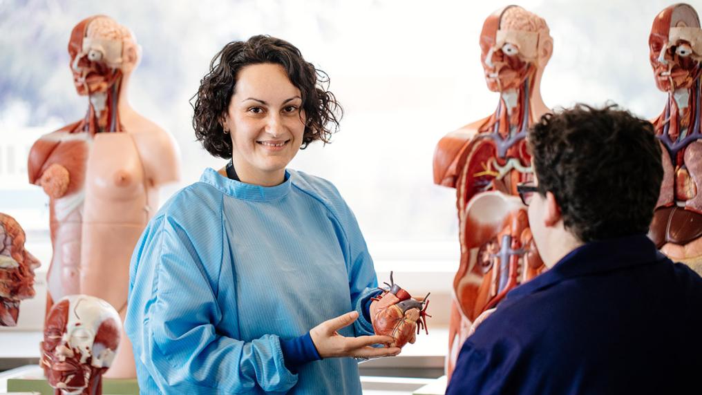 Female in lab scrubs, demonstrating models used for learning internal body parts