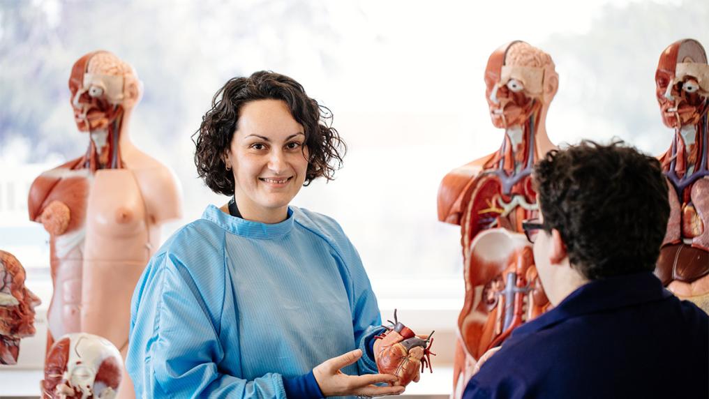 A researcher in an anatomy lab.