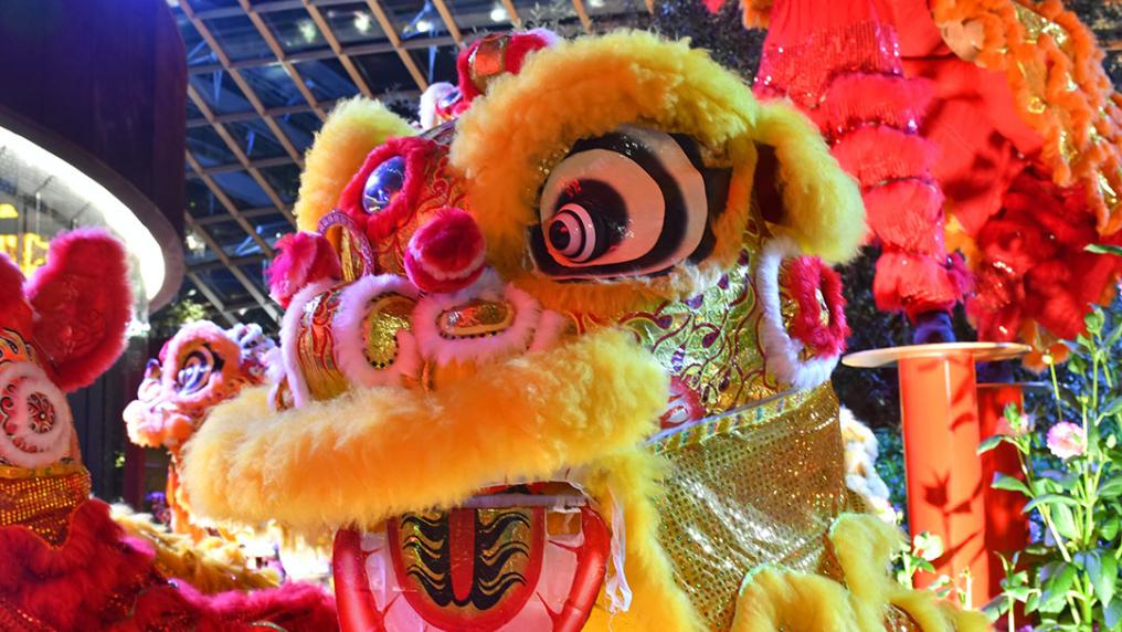 Chinese Lion Dance